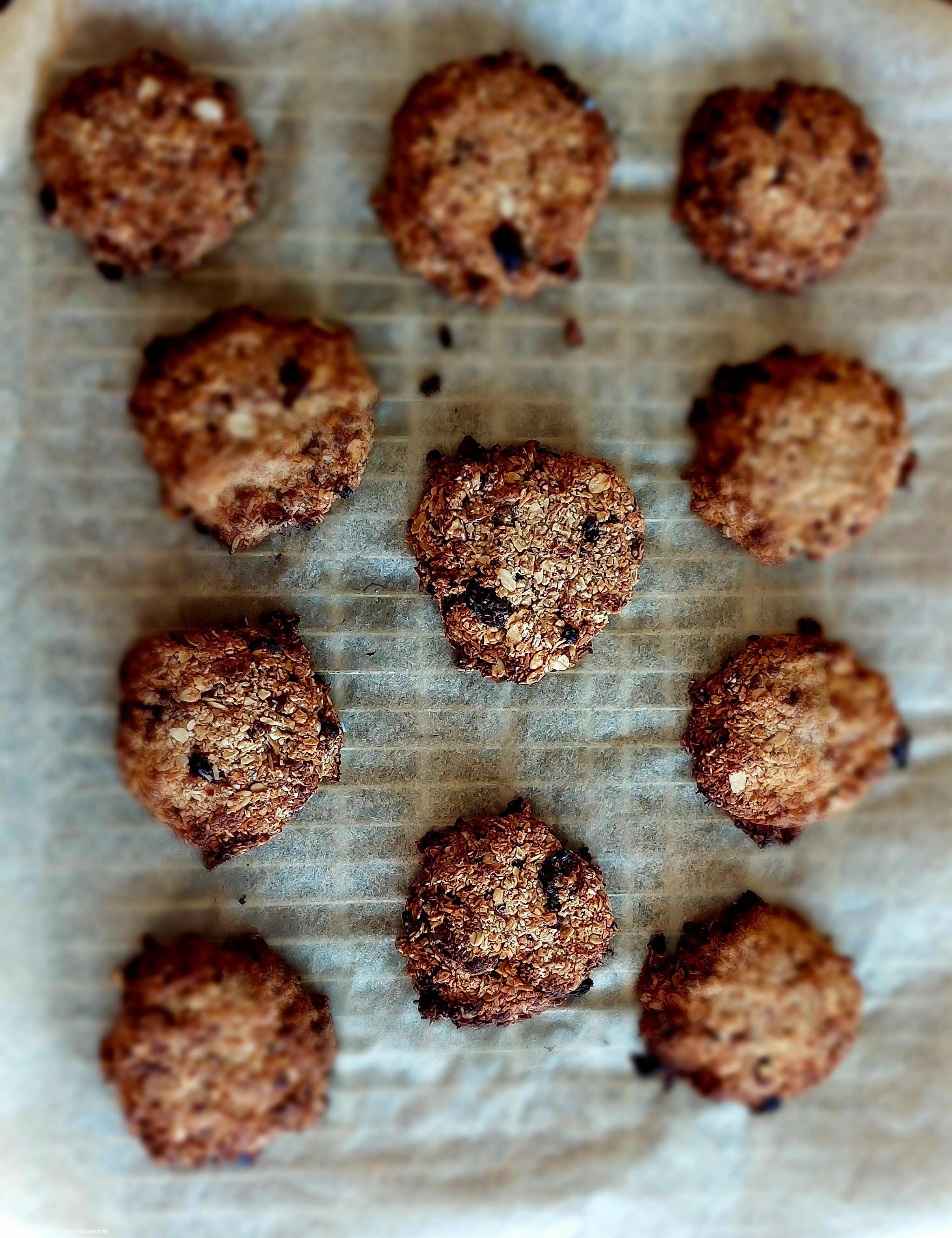 Havermout ontbijt koekjes met gedroogd fruit